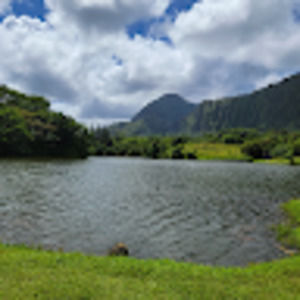 Meet your Posher, Adrian ruiseco